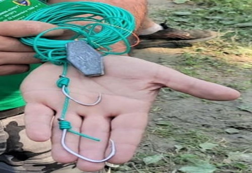 Controale pe linie piscicolă, desfășurate de jandarmii sălăjeni! Ce sancțiuni au fost aplicate