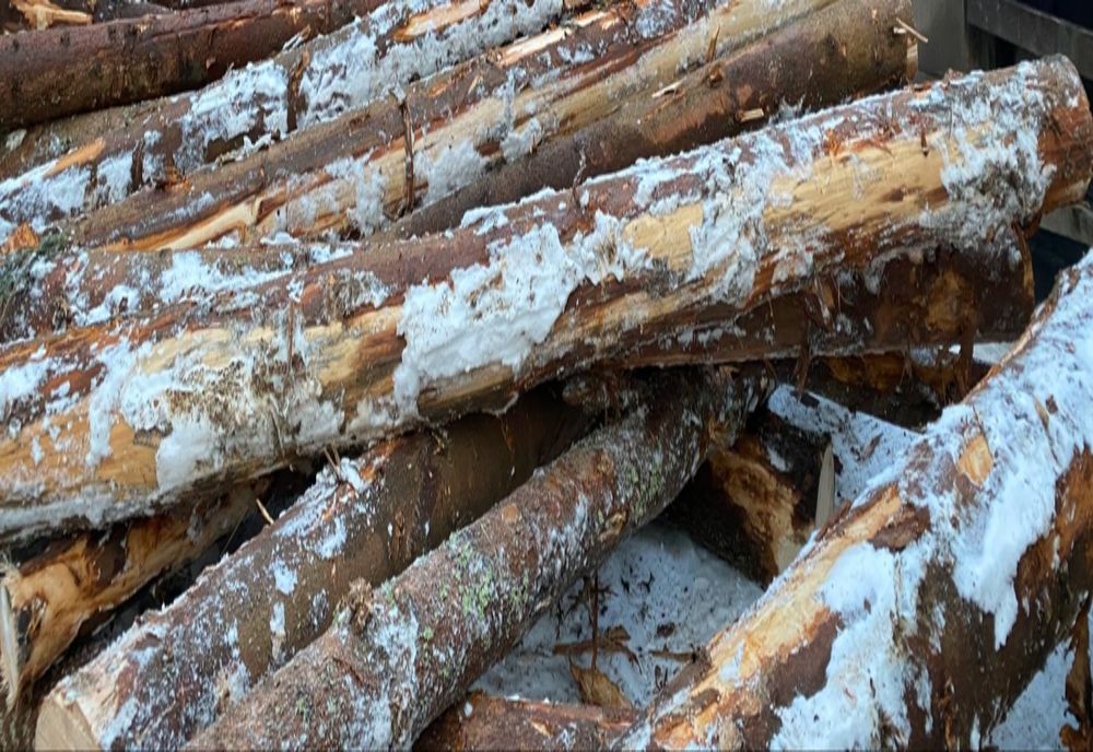 Jandarmii sălăjeni, în control pe linie silvică! Doi bărbați, amendați