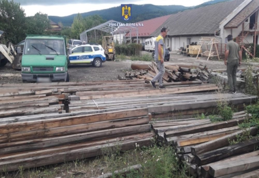 Peste 160 mc material lemnos, confiscați de polițiștii sălăjeni