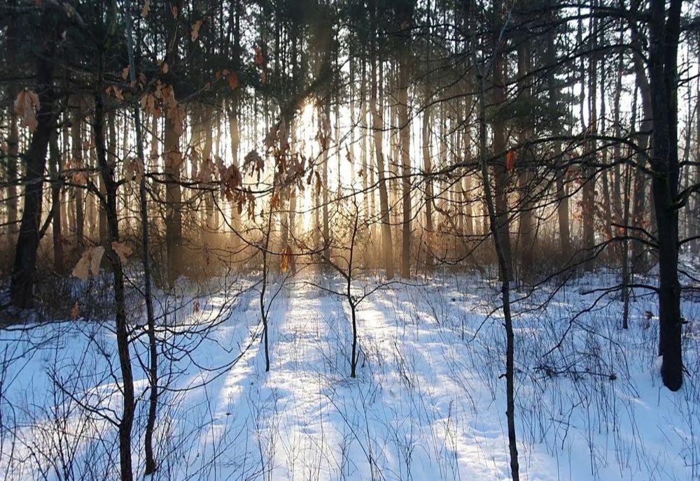 Vreme mai caldă decât în mod obişnuit astăzi