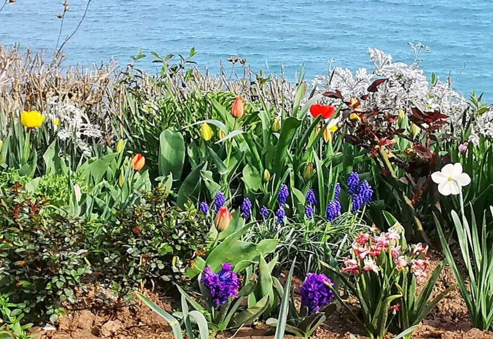 Vremea 21 mai - Fenomene extreme și căldură în prag de vară 