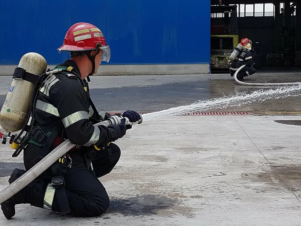 simulare