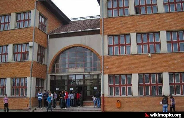 sc corneliu coposu