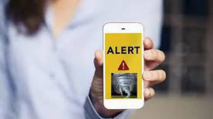 alert