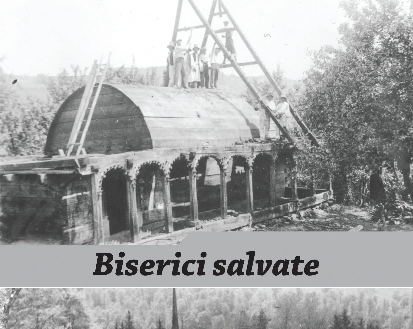 Caiete Silvane 165 (1)