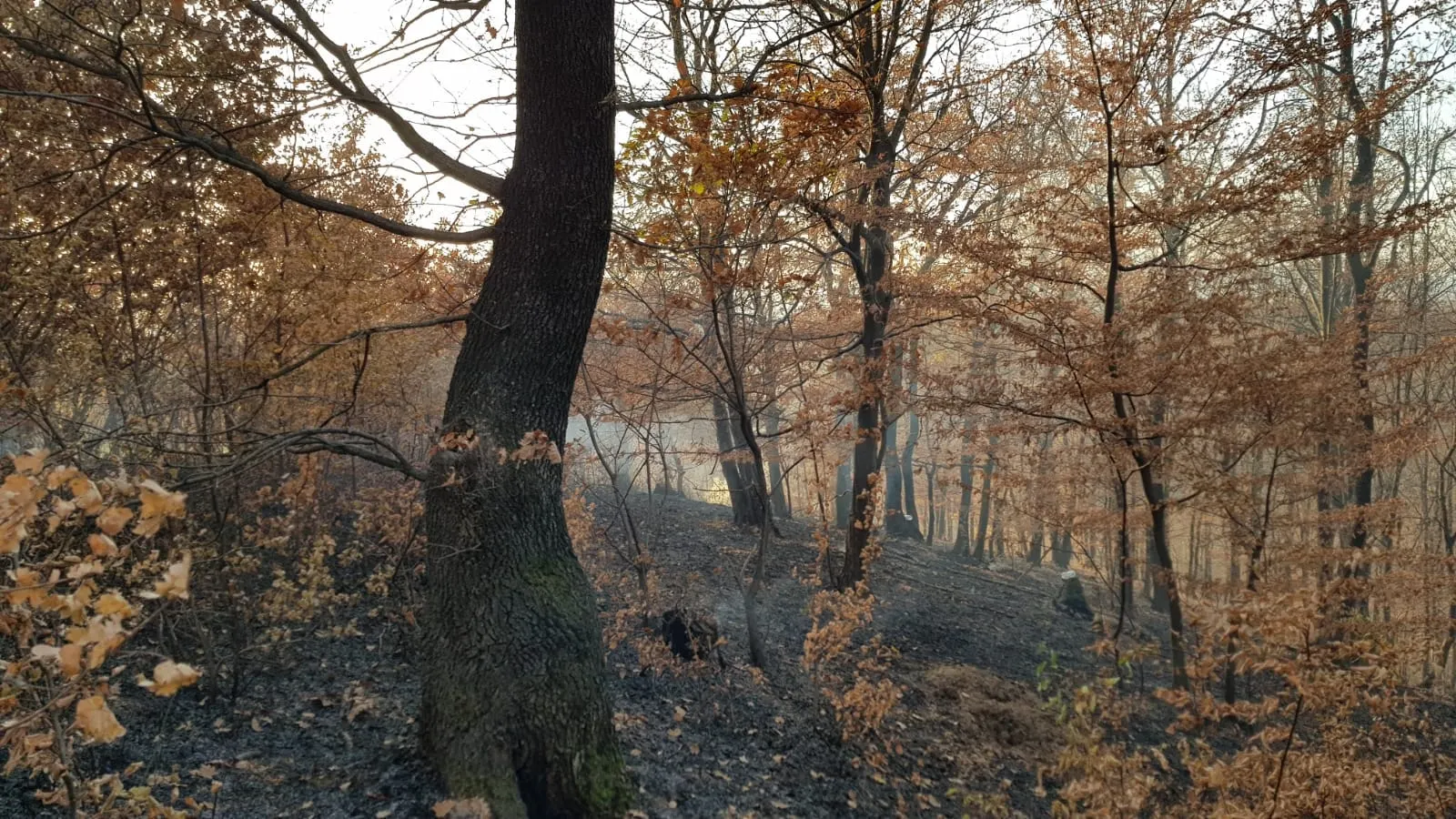 incendiu