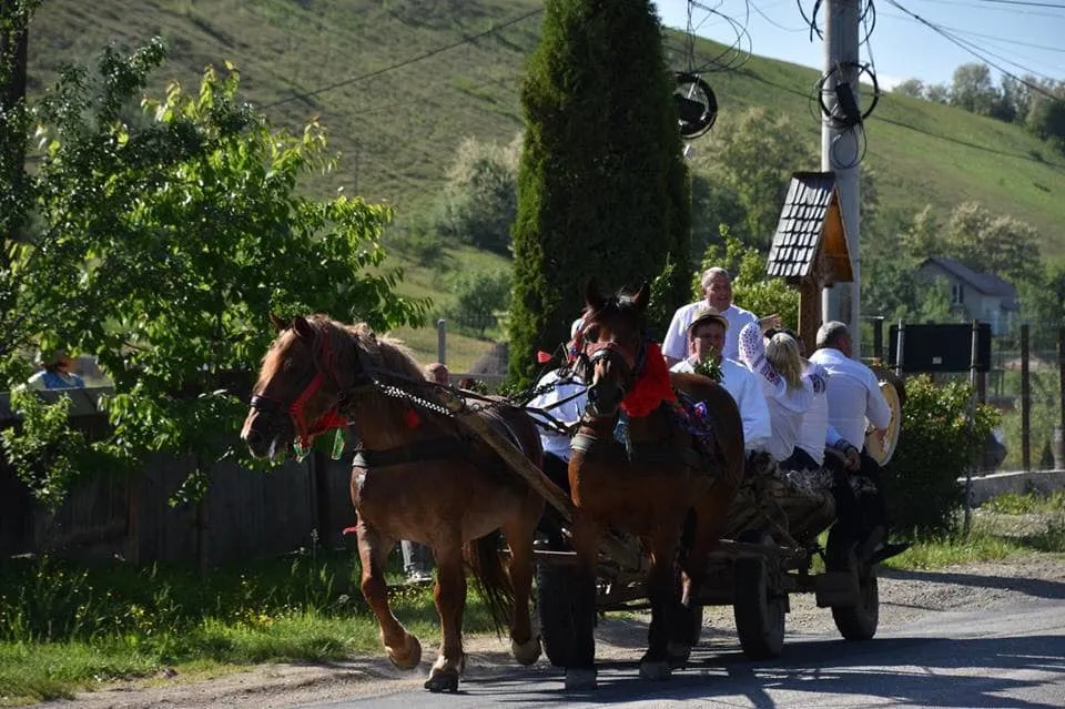 Gâlgău 1