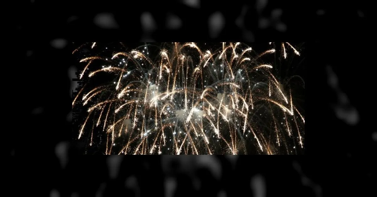foc