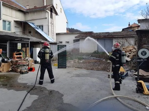 isu interventii