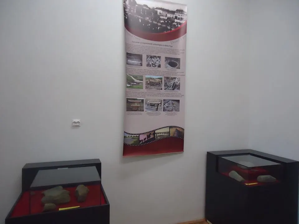 expozitie 2