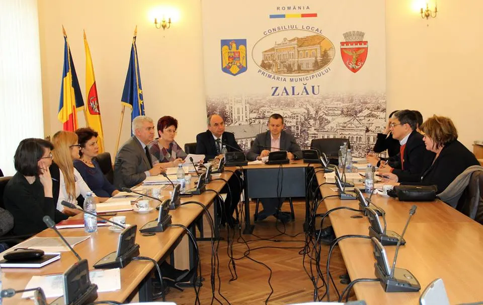 primarie proiecte