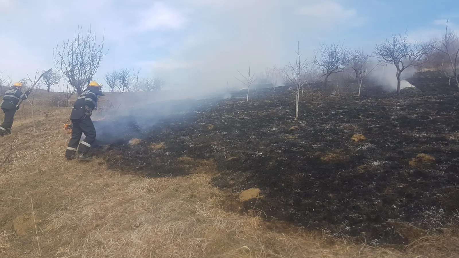 incendiu vegetatie 2