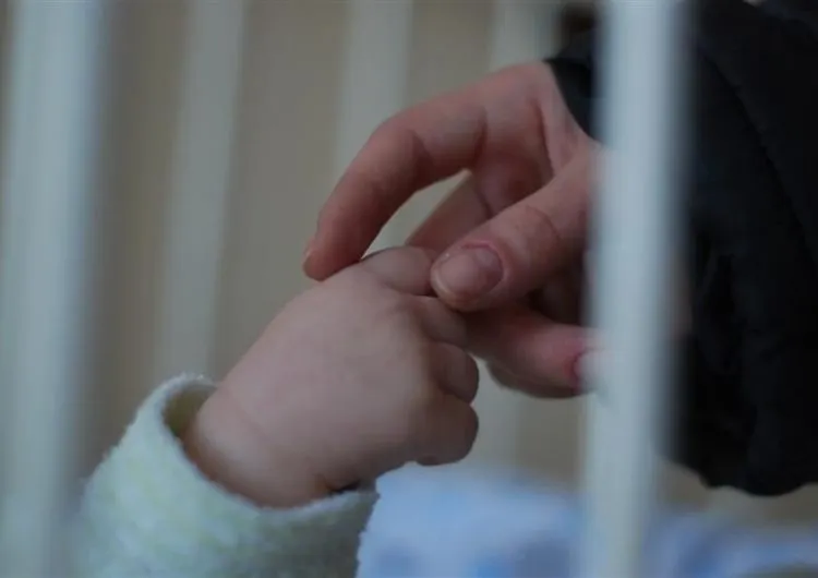 asistent maternal