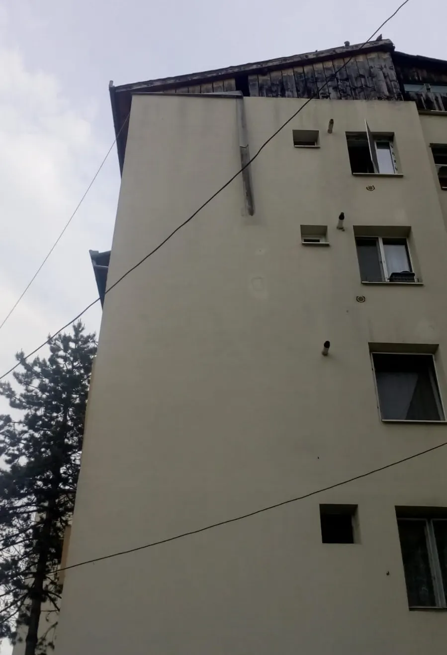 fără titlu