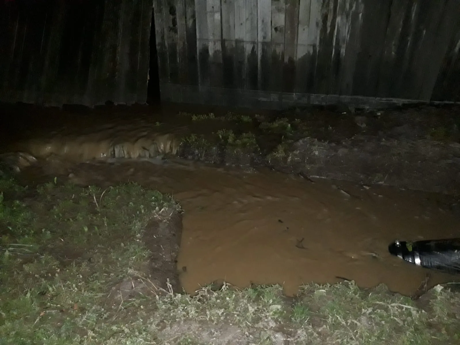 inundatii 2