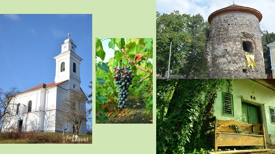 excursie