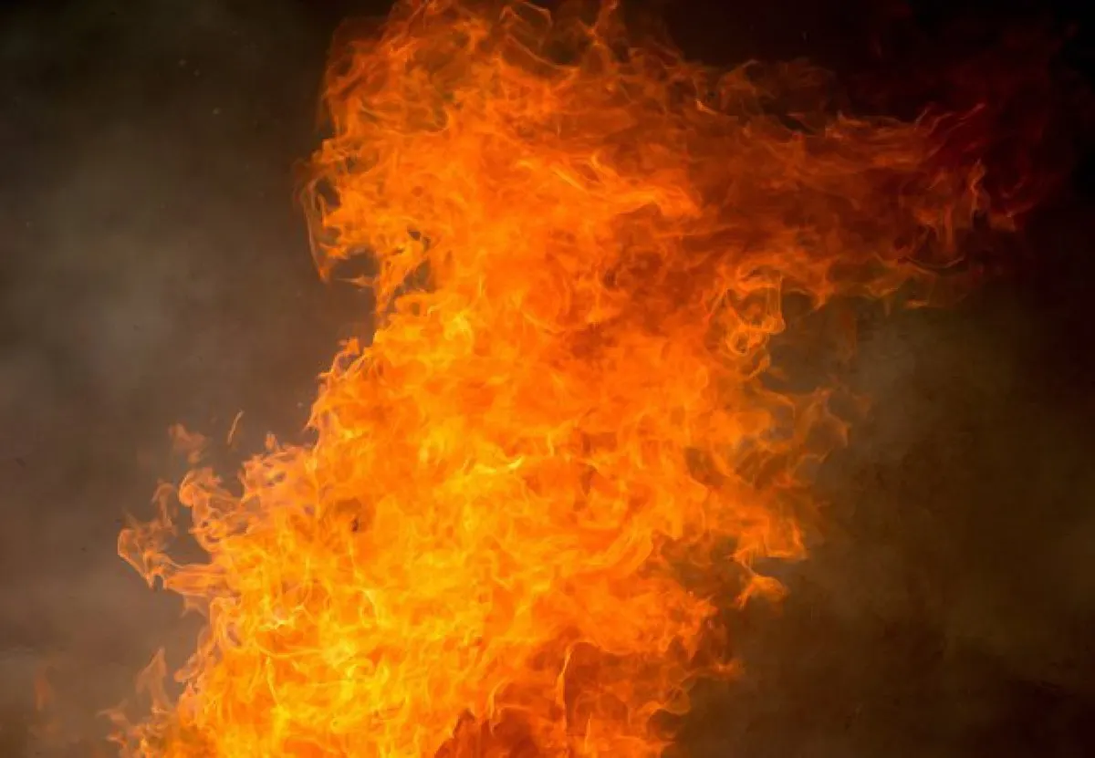 foc