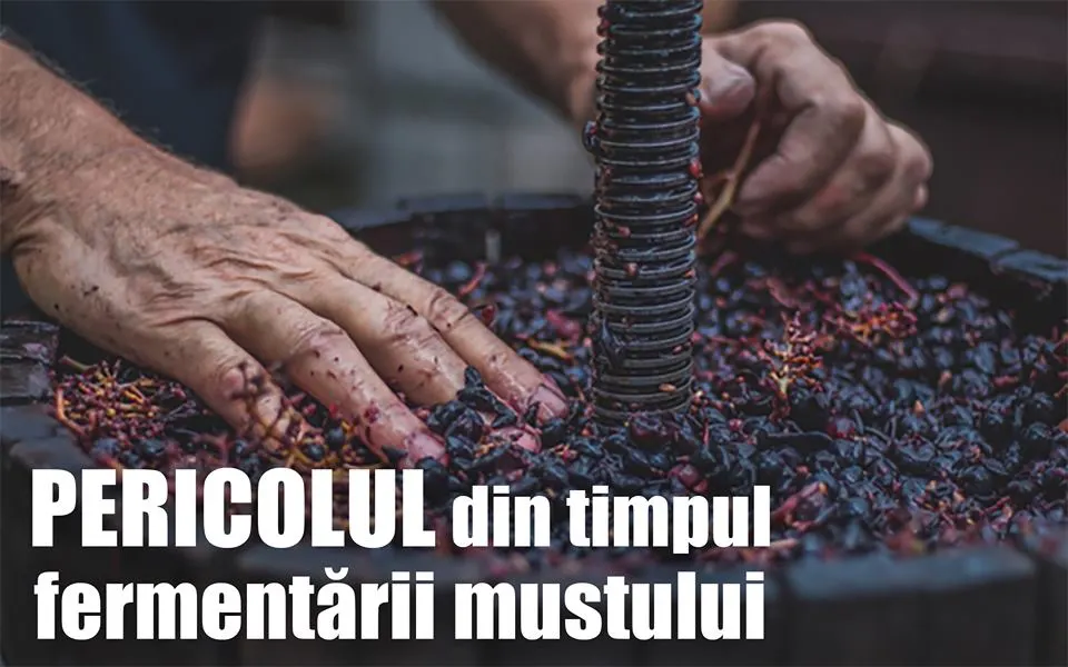 pericol
