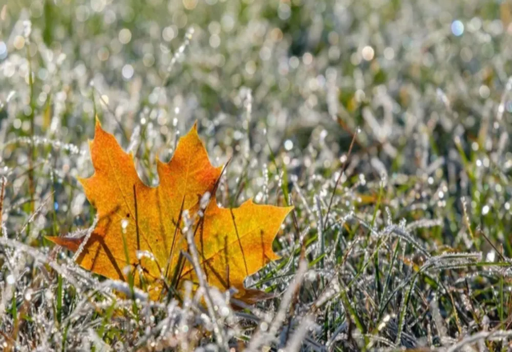 Prognoza meteo pe o lună. Schimbări SPECTACULOASE: cum va fi vremea până pe 10 februarie