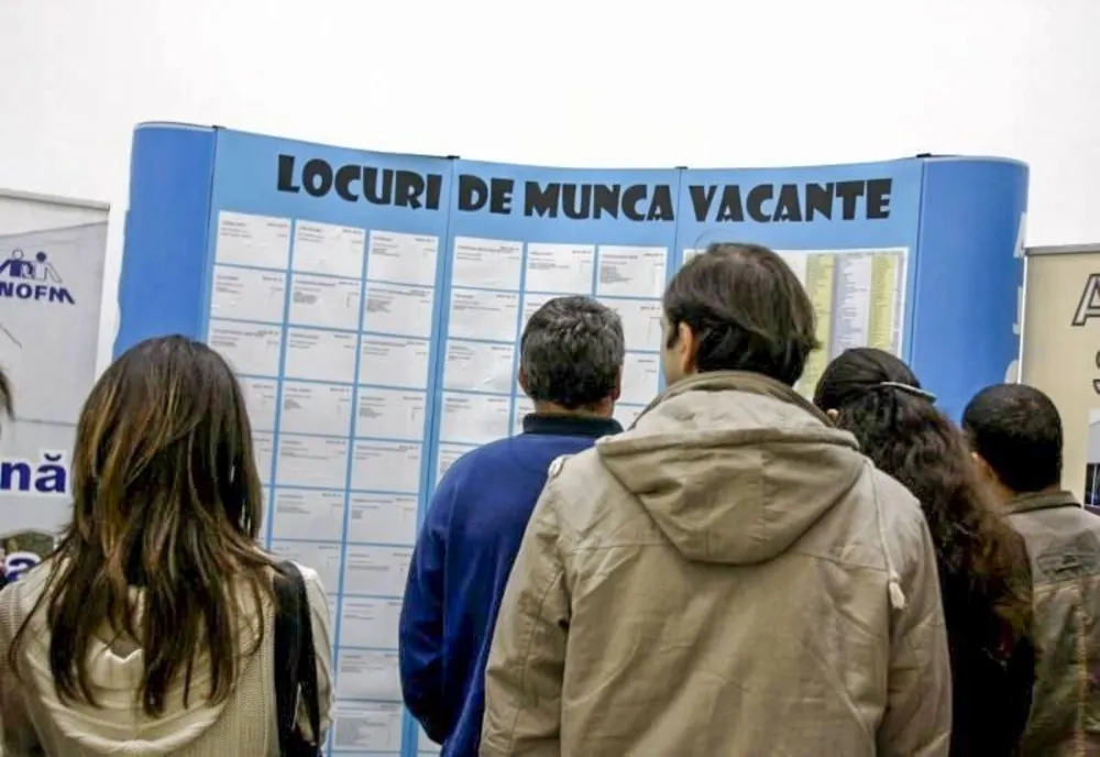 Ofertă de muncă: peste 300 de joburi vacante în mediul privat 
