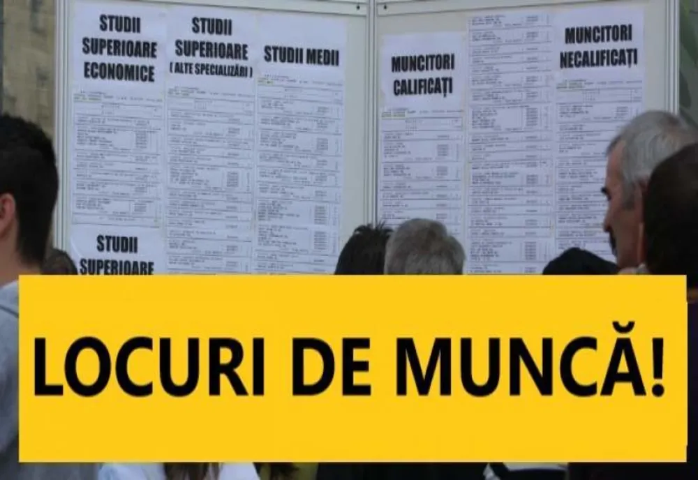 Angajări în sistemul privat. Peste 260 de oferte disponibile