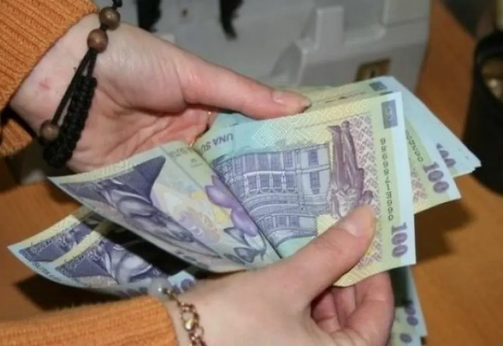 Doi tineri din Sălaj reţinuţi după ce au furat 100.000 de lei