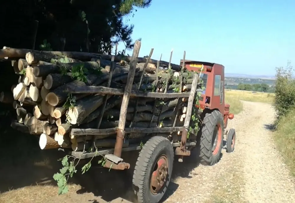 Controale pe linia silvică în judeţul Sălaj! Doi bărbaţi au fost amendaţi