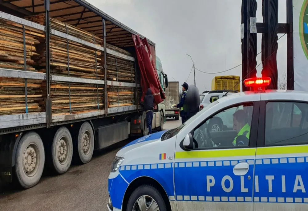 Material lemnos confiscat de poliţiştii sălăjeni de la doi şoferi din judeţul Cluj