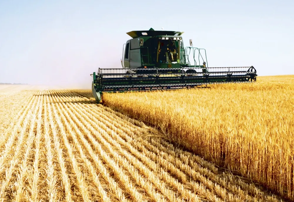Ministrul Agriculturii spune că România are destule stocuri de cereale și nu va opri exporturile