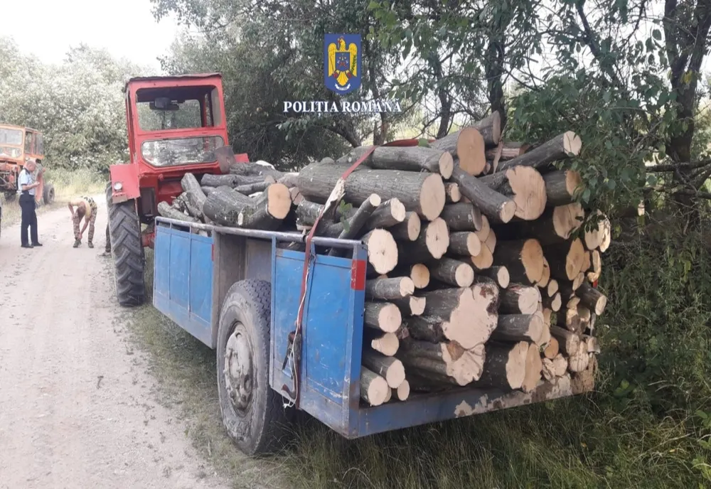 Zece hoți de lemne, identificați de polițiștii sălăjeni