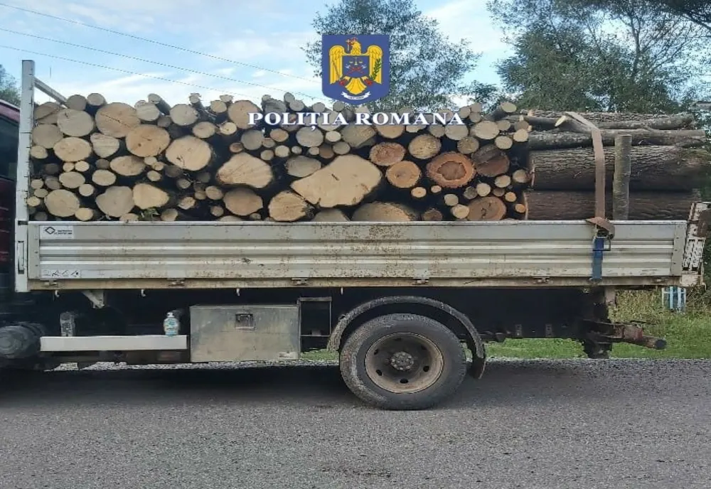 Peste 45 mc de lemn, confiscați de polițiștii sălăjeni! Au fost efectuate mai multe transporturi în baza aceluiași aviz de însoțire