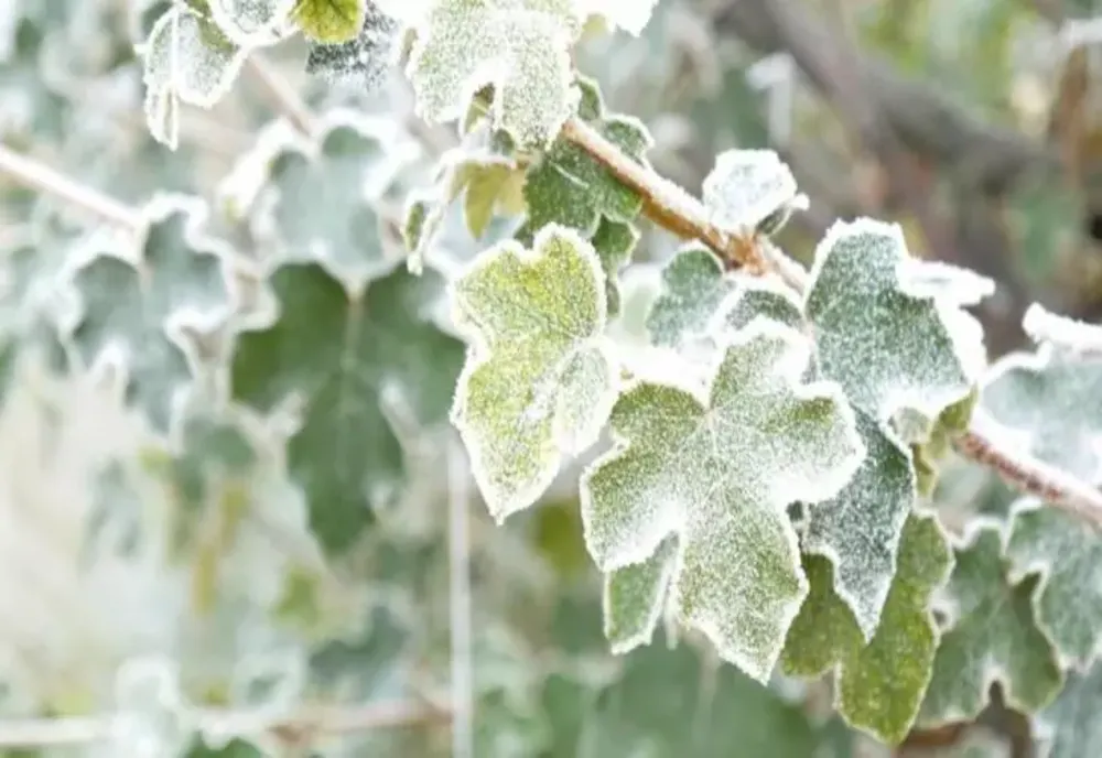 Cum va fi vremea de 1 Decembrie și în mini-vacanță - Meteorologii ANM au făcut anunțul