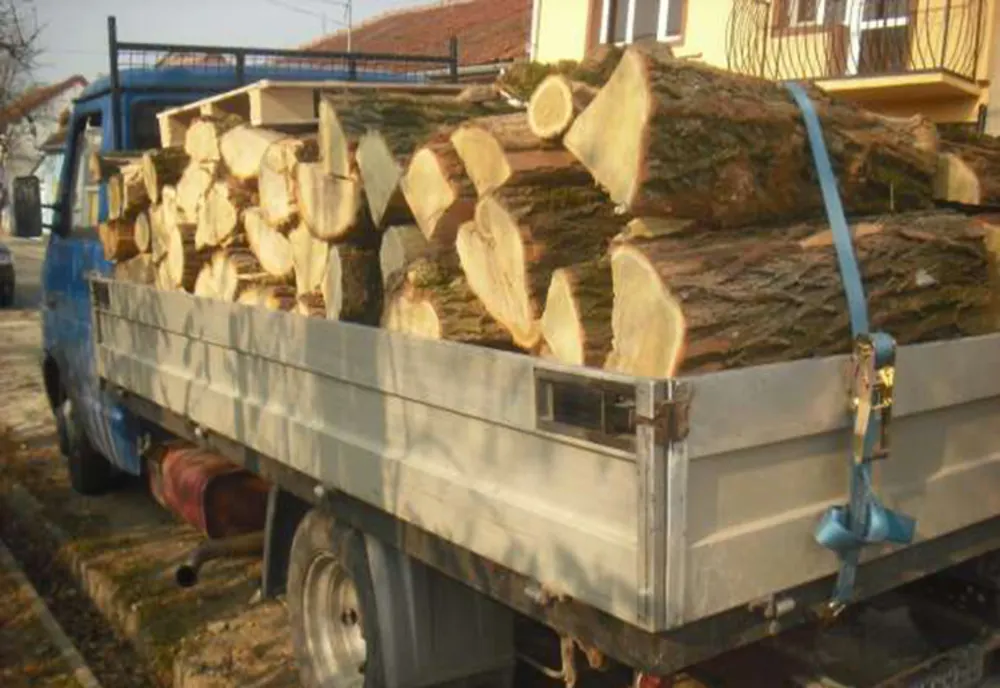 10.000 de lei amendă pentru un tânăr care transporta material lemnos fără acte