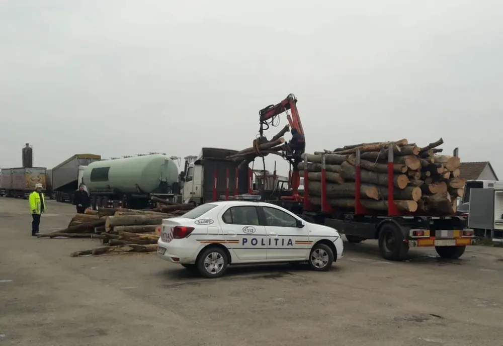 Transportatori de lemne amendaţi de poliţiştii sălăjeni (FOTO)