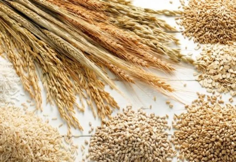 APIA acordă măsuri de sprijin de urgență pentru producătorii agricoli din sectorul cereale 