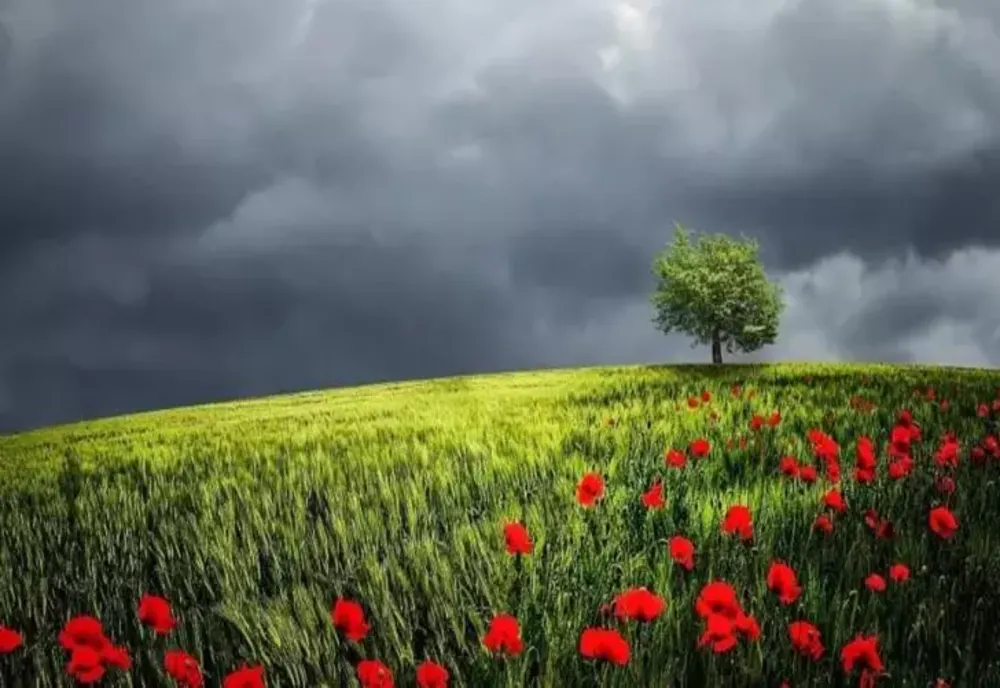 Prognoza meteo - cum va fi vremea în vara anului 2023. Când începe sezonul furtunilor
