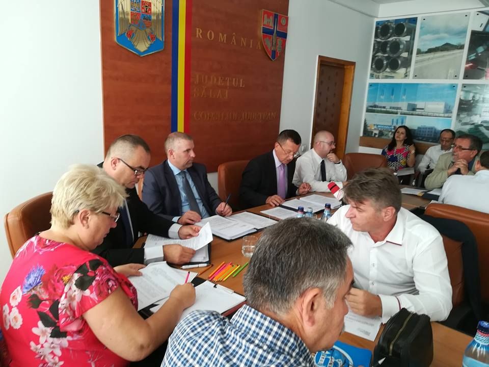 consiliul judetean