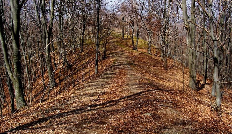 dealul cetatiii dacice Mesesenii de Sus