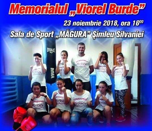 memorialul Viorel Burde 1