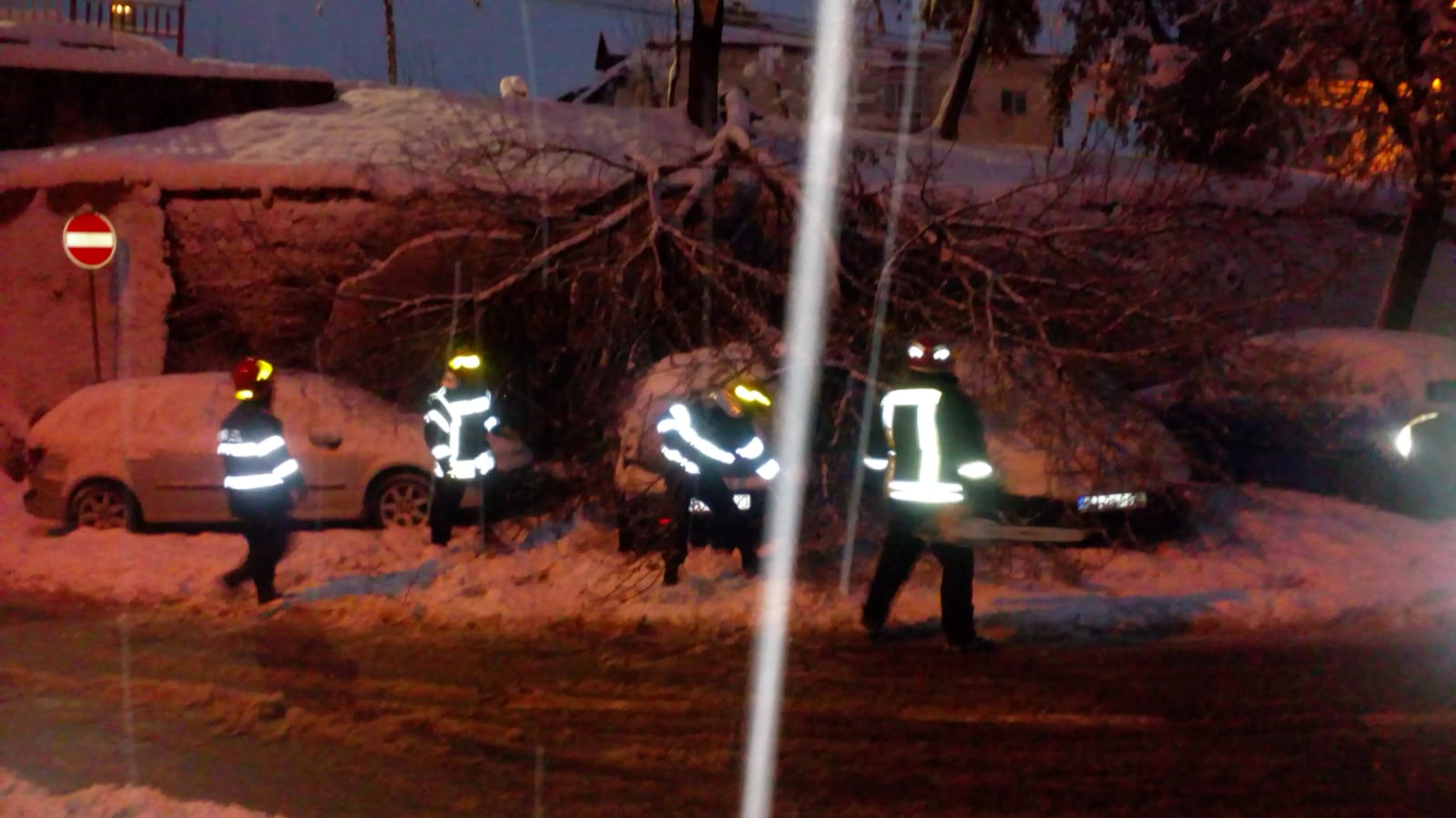 copac cazut peste masini