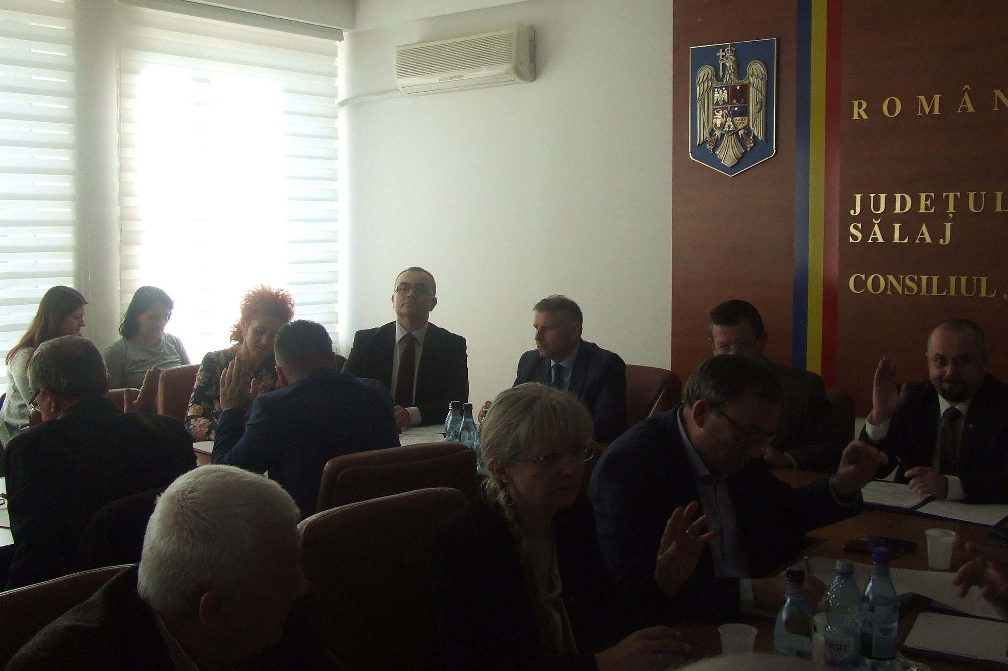 consiliu judetean (12) (1)
