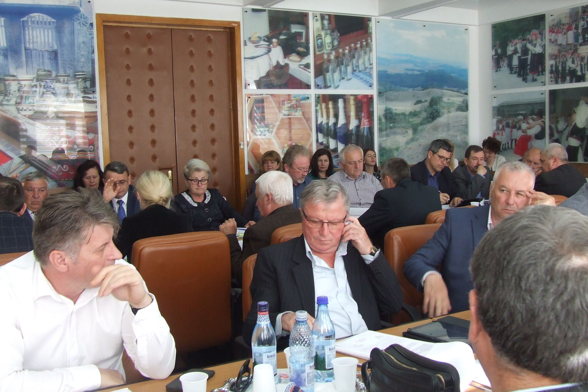 consiliu judetean (1)