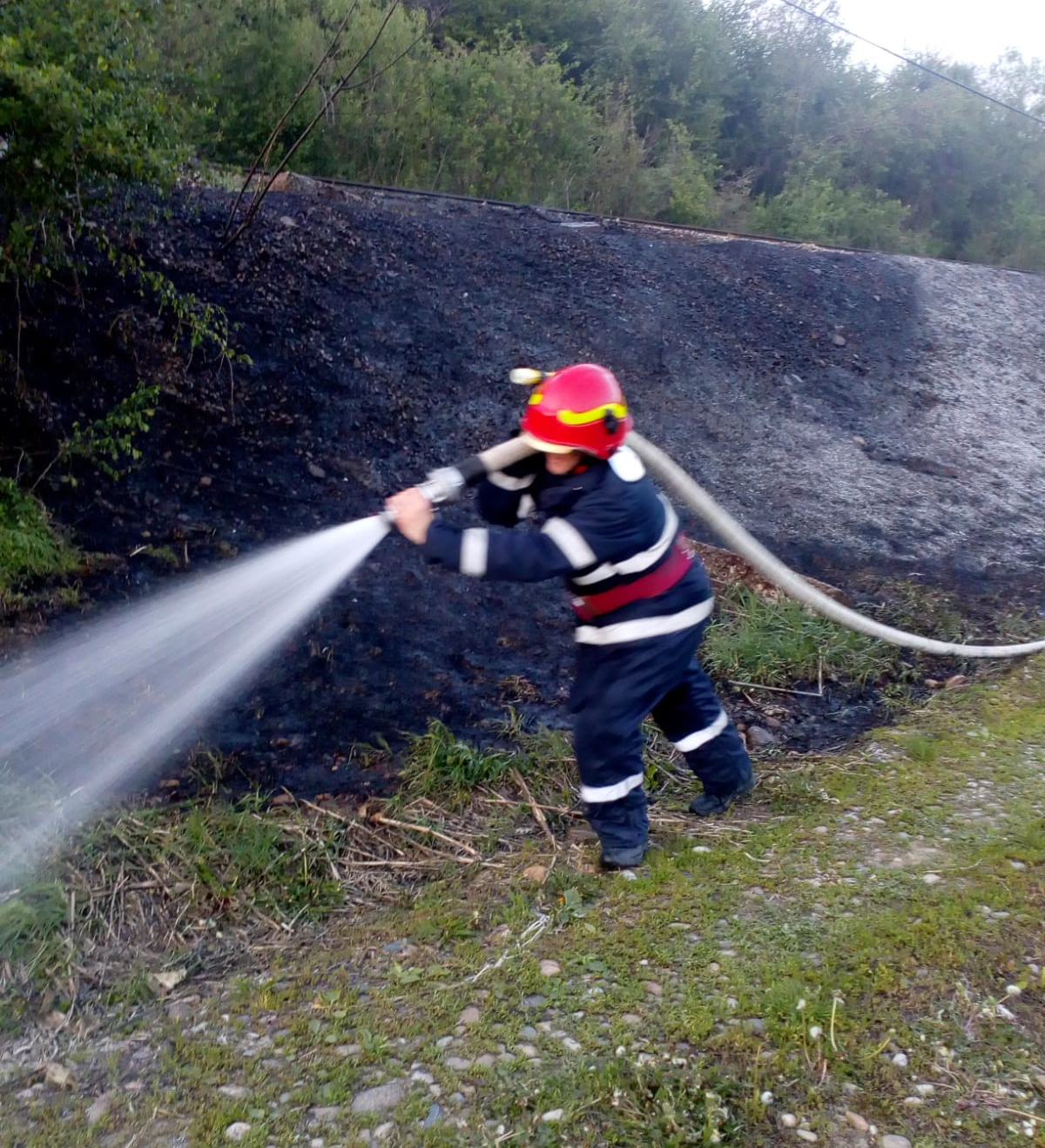 incendiu Perii Vadului