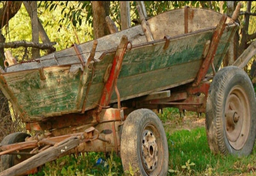 Rănit grav, după ce a căzut dintr-o căruță 