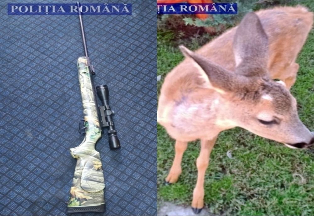 Sălaj: Dosare penale, întocmite de polițiștii de la arme