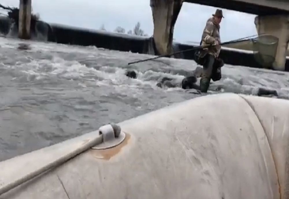 Doi bistrițeni și un maramureșean, lăsați fără permise de pescuit și amendați de către jandarmii sălăjeni