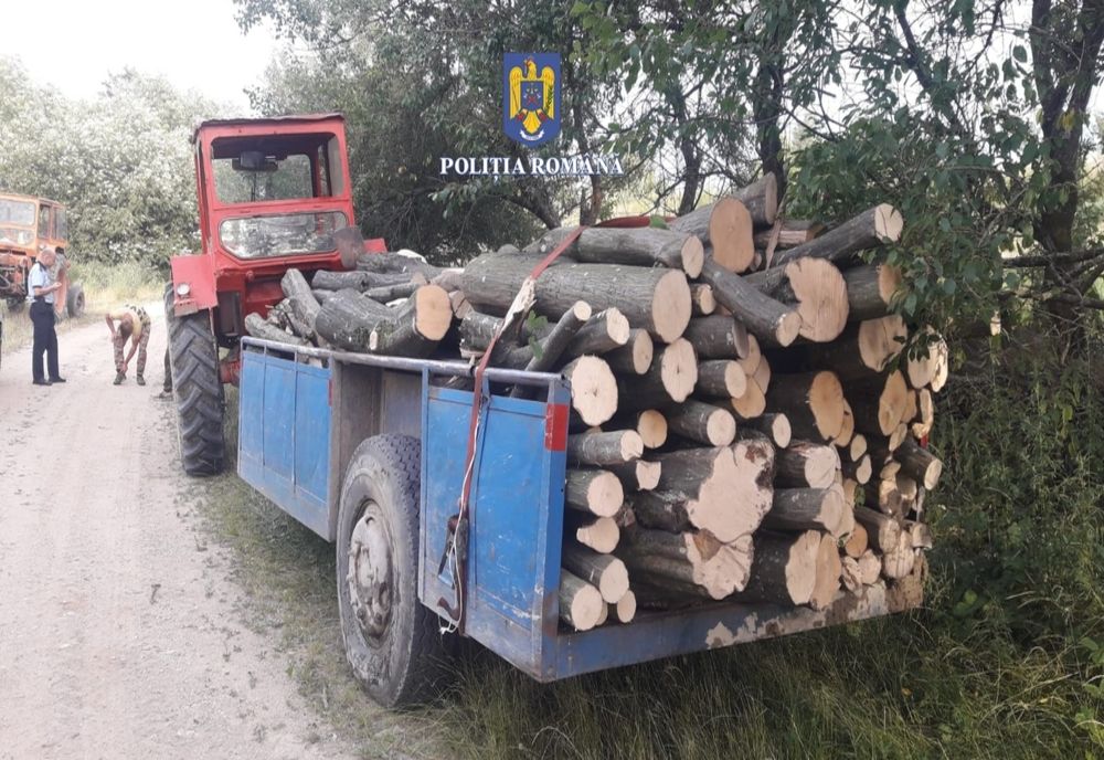 Zece hoți de lemne, identificați de polițiștii sălăjeni