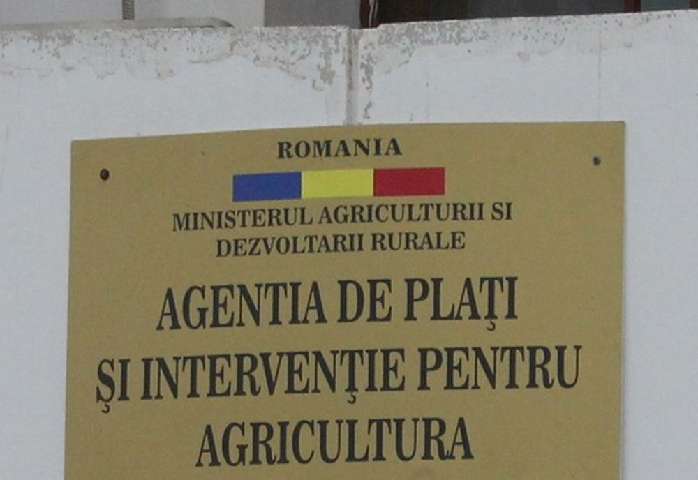 APIA primește Cereri de plată aferente anului 2023 pentru schema de ajutor de stat „Sprijin pentru prima împădurire și crearea de suprafețe împădurite