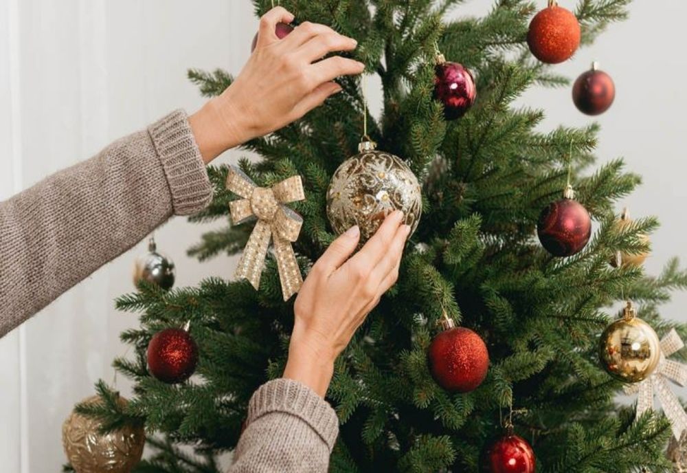 Cât costă brazii de Crăciun în 2025 și de ce acum e cel mai bun moment să-i cumperi