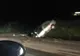 Accident între Hereclean şi Panic